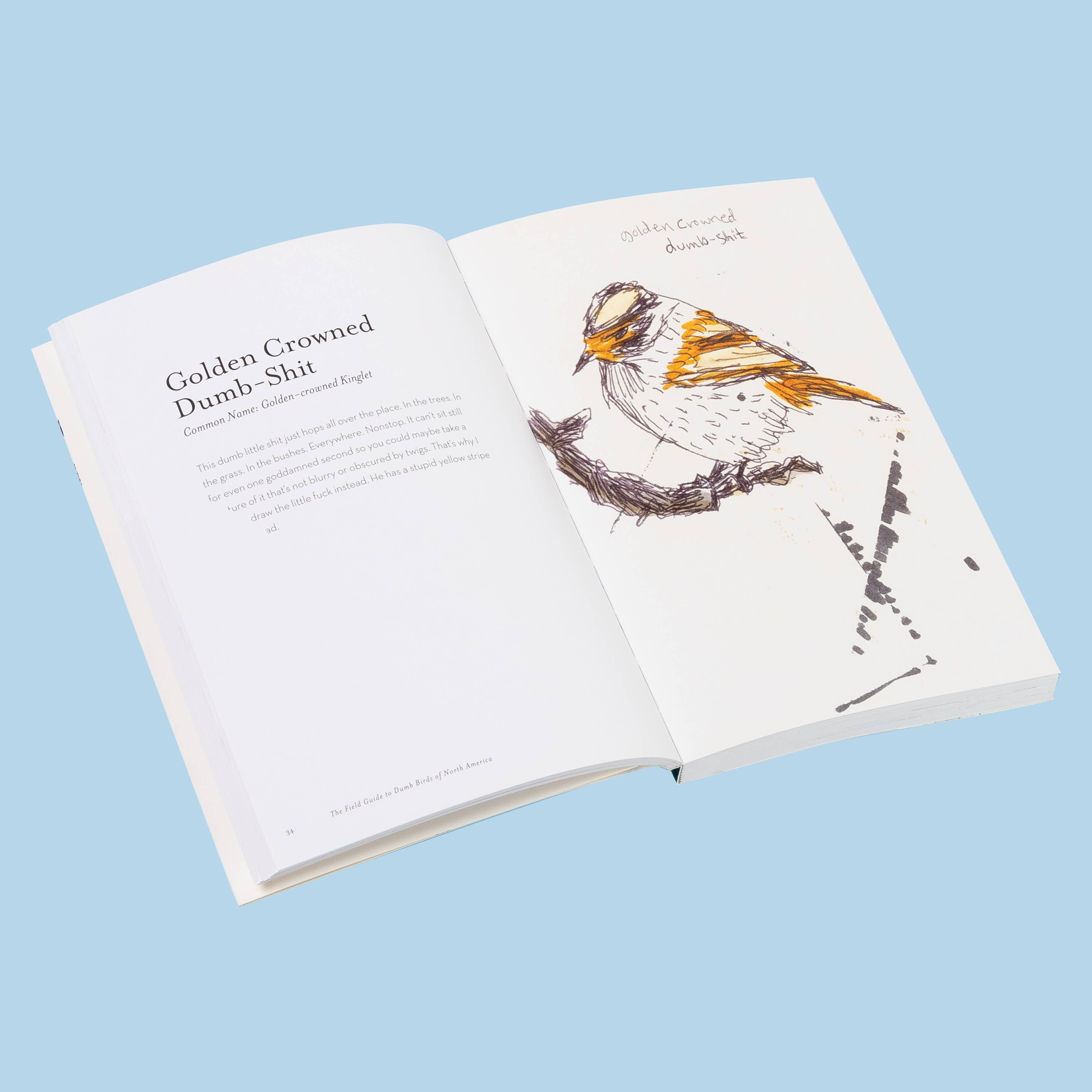 Field Guide To Dumb Birds - Guide Book
