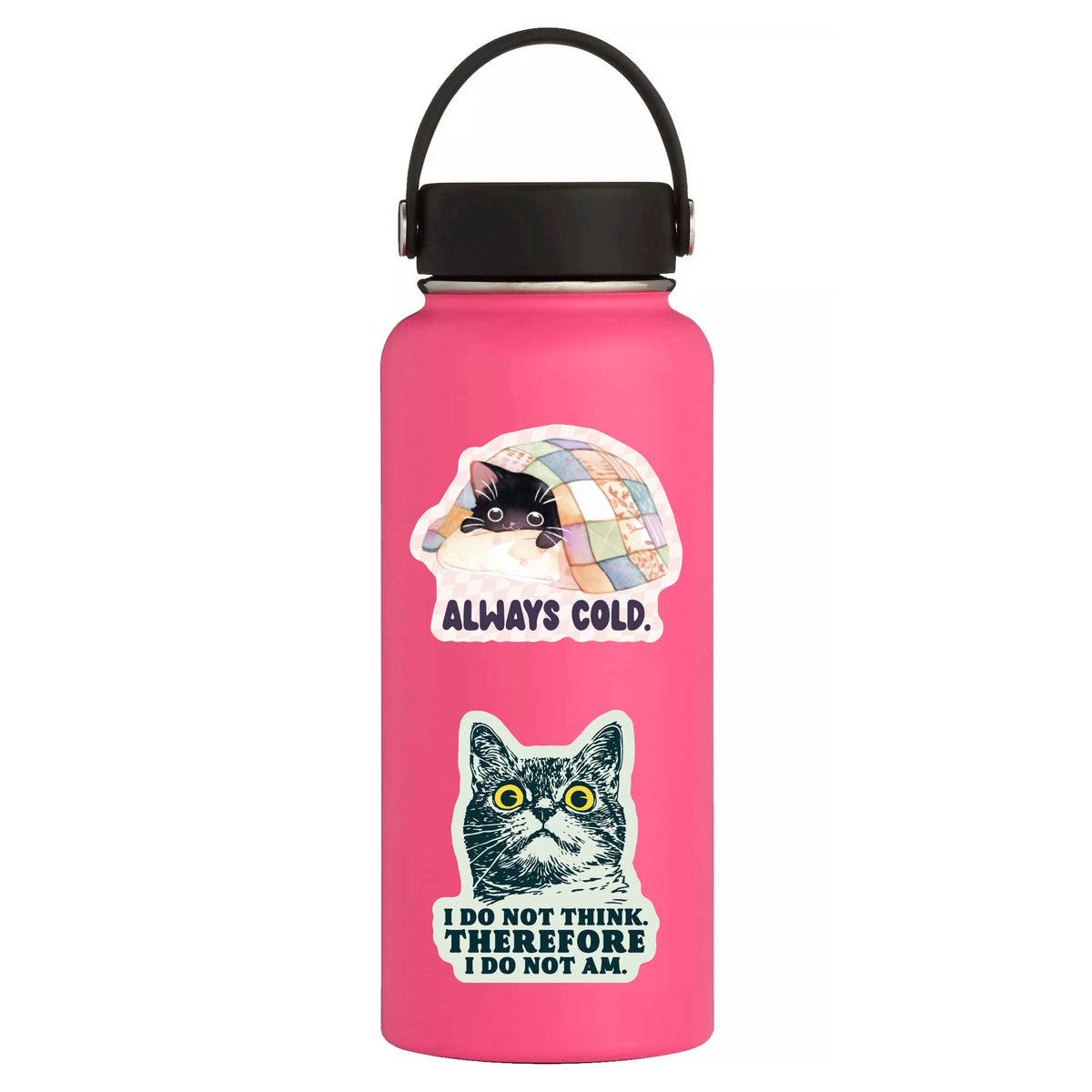 Goofy Kitty funny cat vinyl sticker, from The Ruddy Duck in Whitefish, Montana