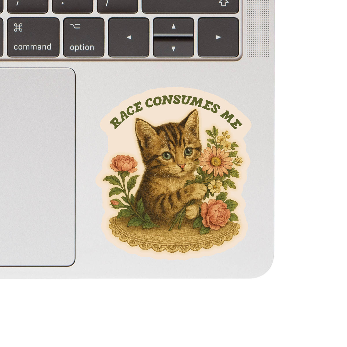 Feisty Kitty sarcastic cat vinyl sticker, from The Ruddy Duck in Whitefish, Montana