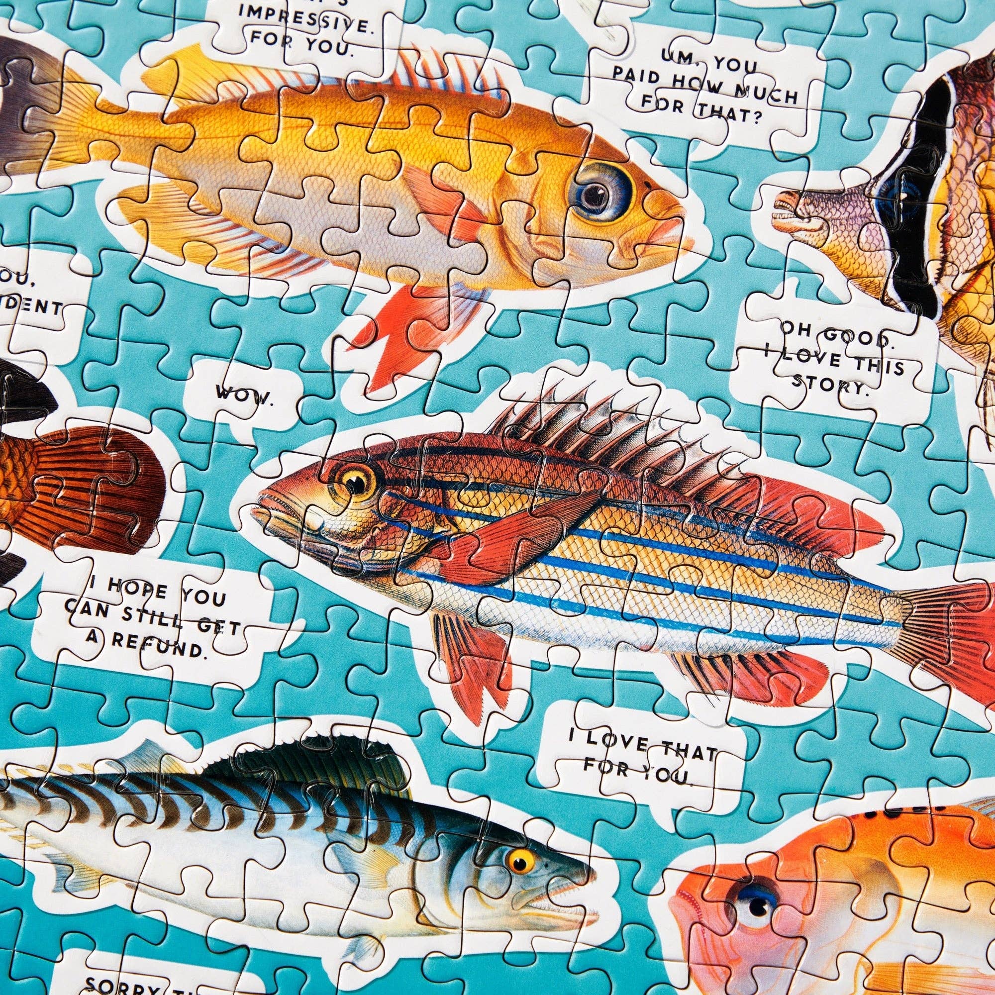 Judgy Fish - 1000 Piece Jigsaw Puzzle