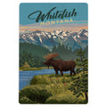 Whitefish, Montana Moose - Wood Postcard