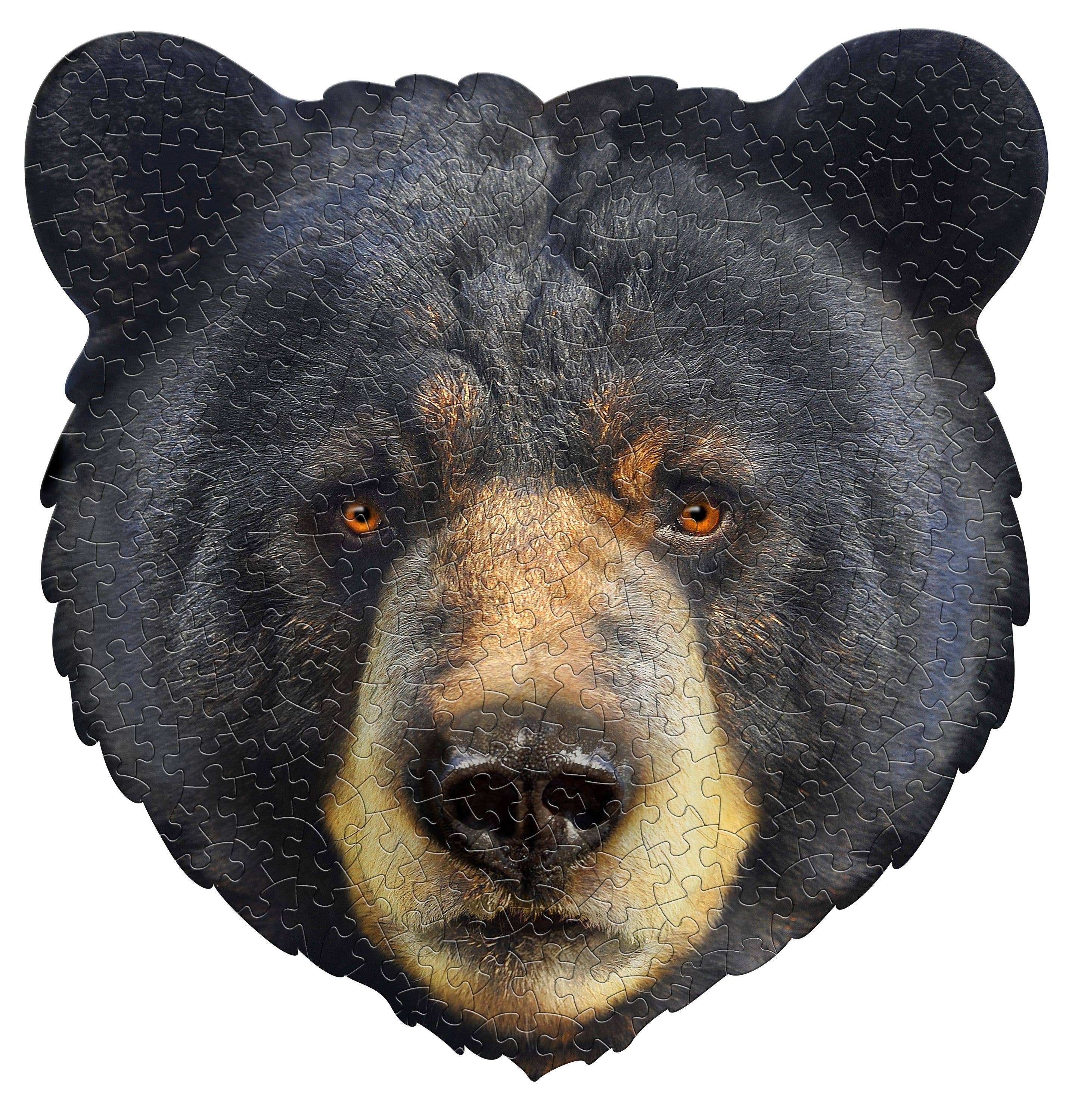 Black Bear - 300 Piece Jigsaw Puzzle