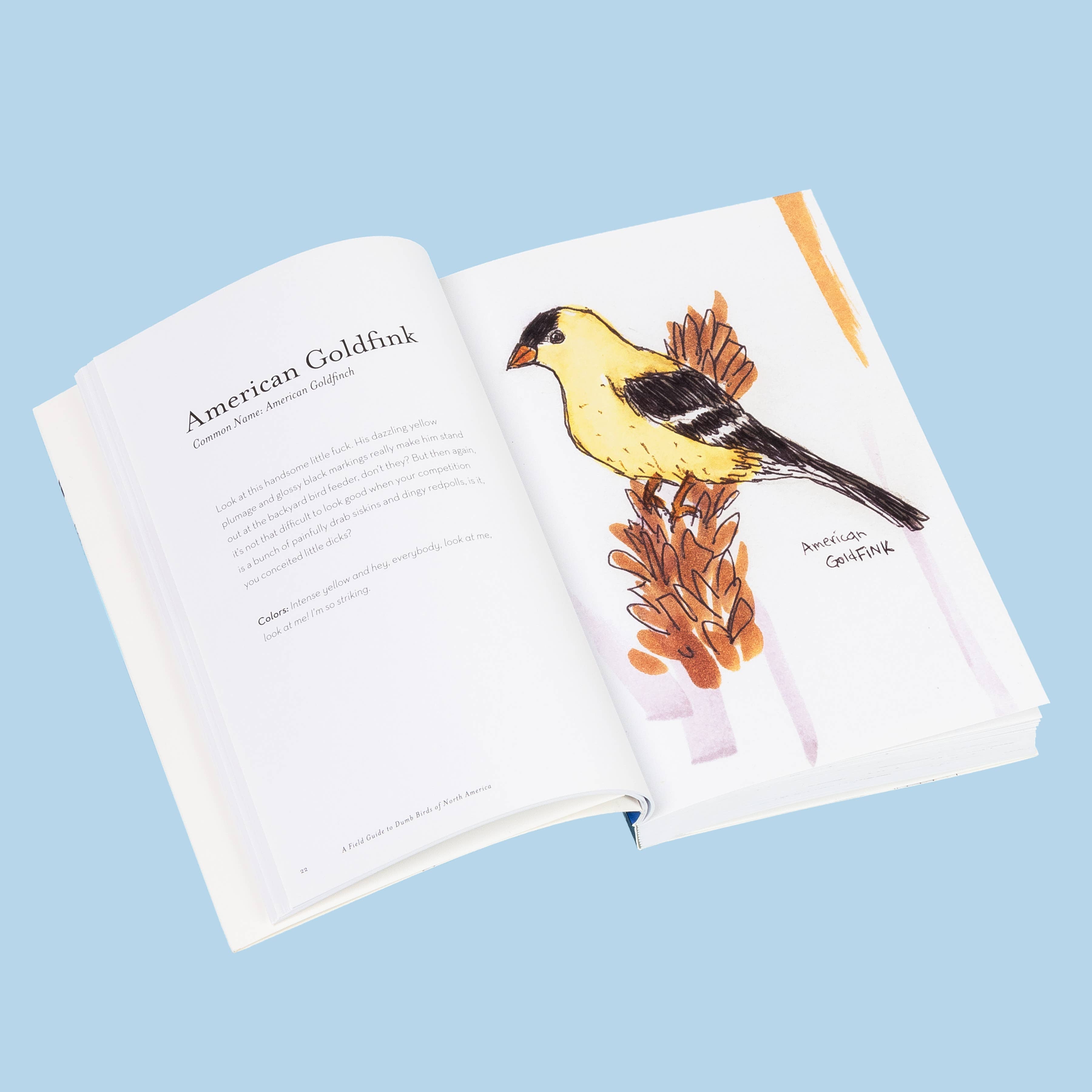 Field Guide To Dumb Birds - Guide Book