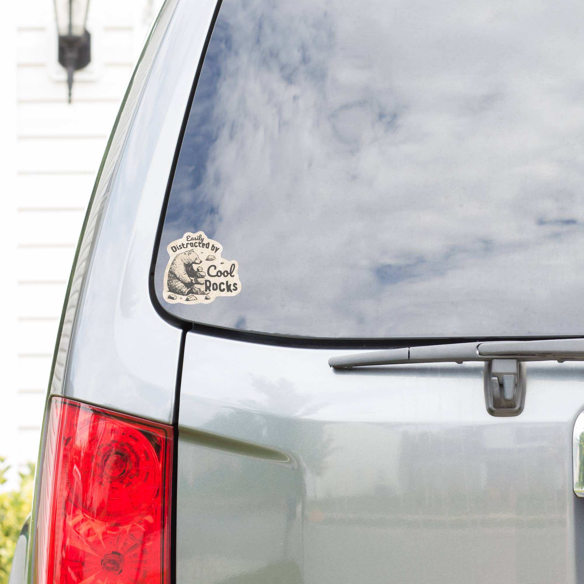 Distracted By Cool Rocks Bear - Vinyl Sticker