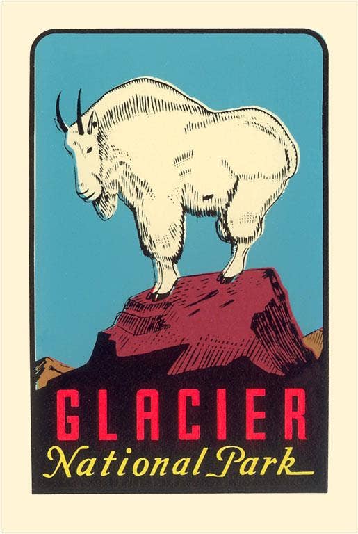 Rocky Mountain Goat ... Glacier Magnet