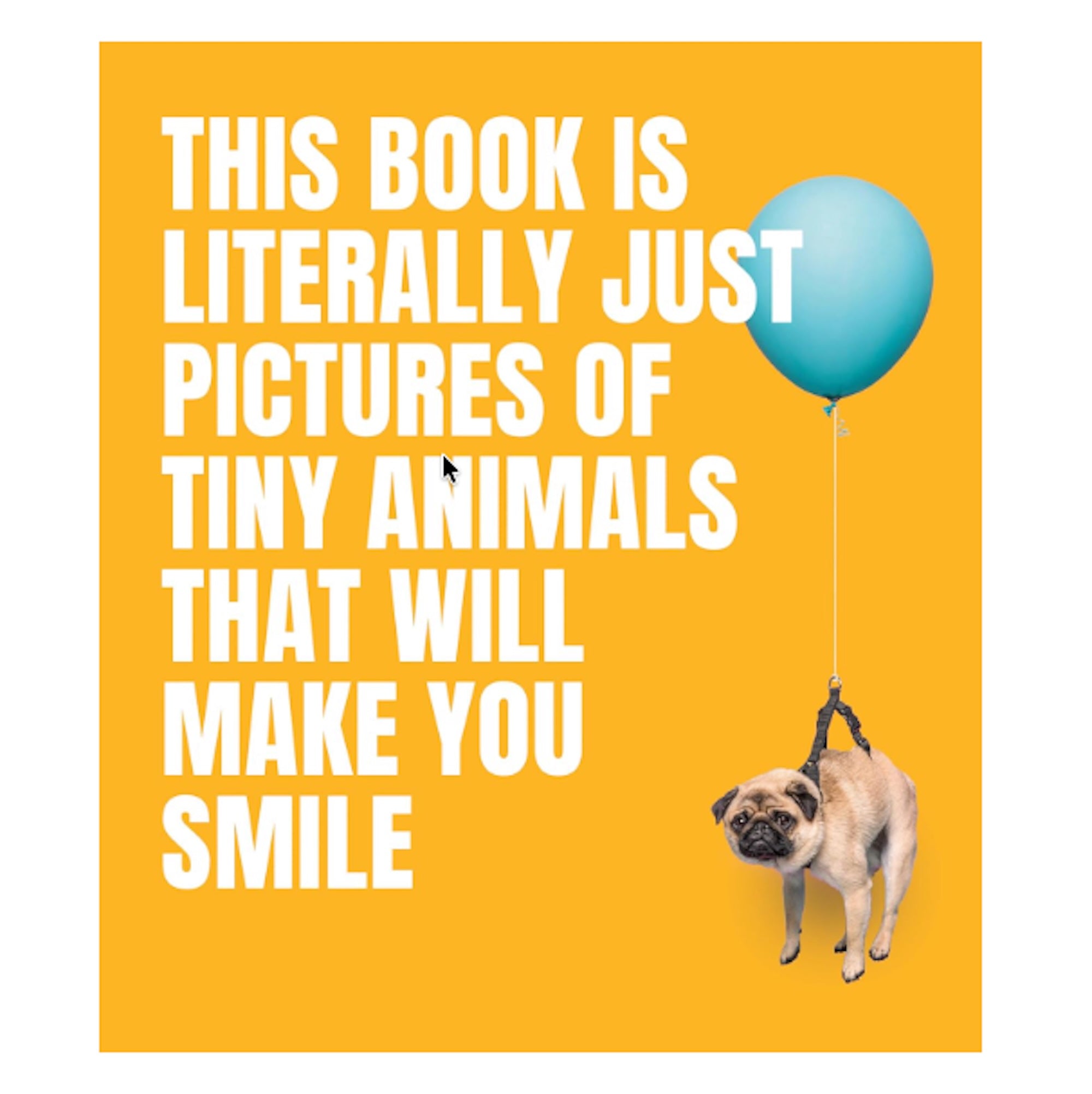 Animals That Make You Smile - Book
