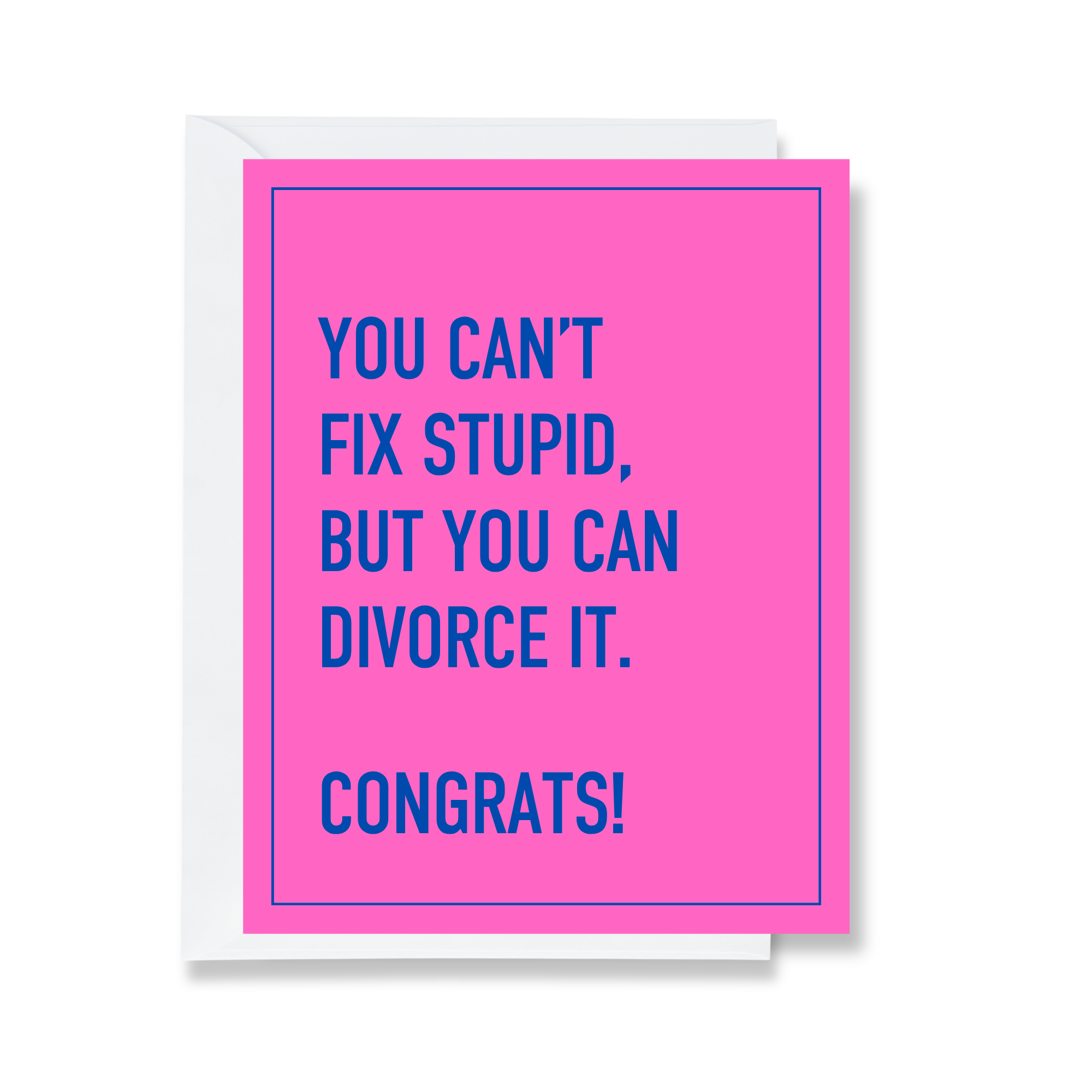 Can't Fix Stupid - Divorce Card