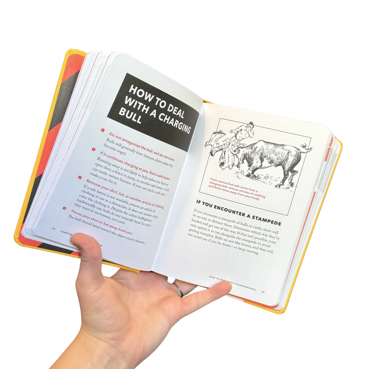 Clever Worst Case Scenario Survival - Educational Book