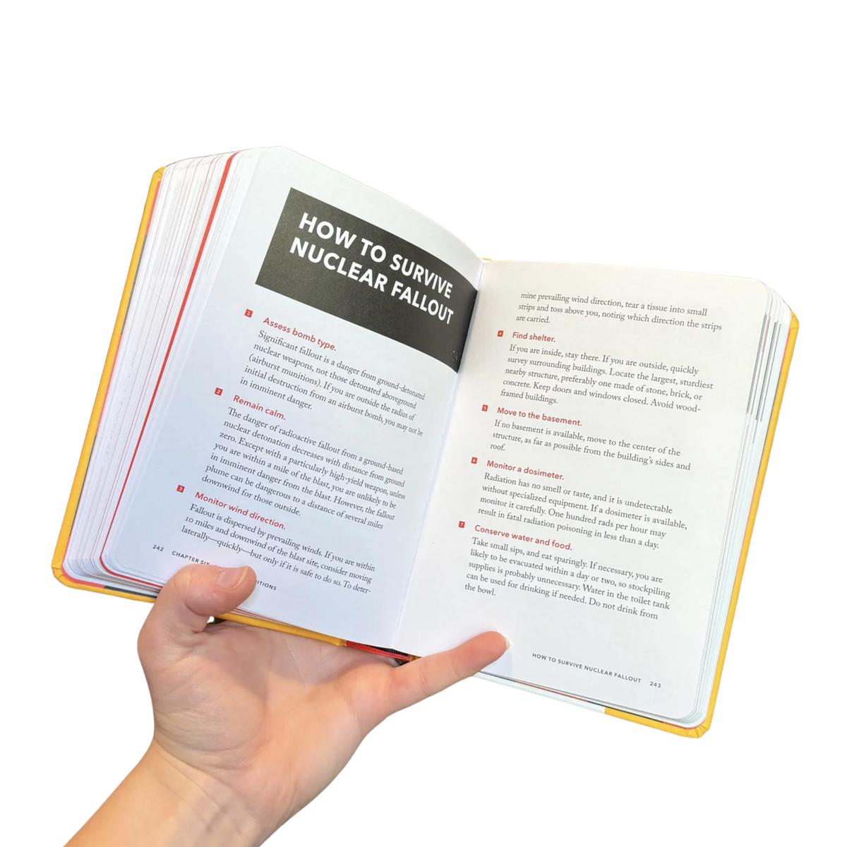 Clever Worst Case Scenario Survival - Educational Book