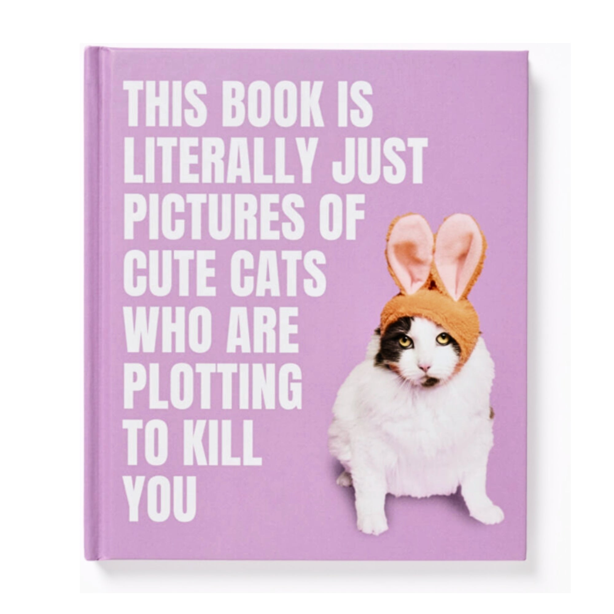 Cute Cats Plotting To Kill You - Book