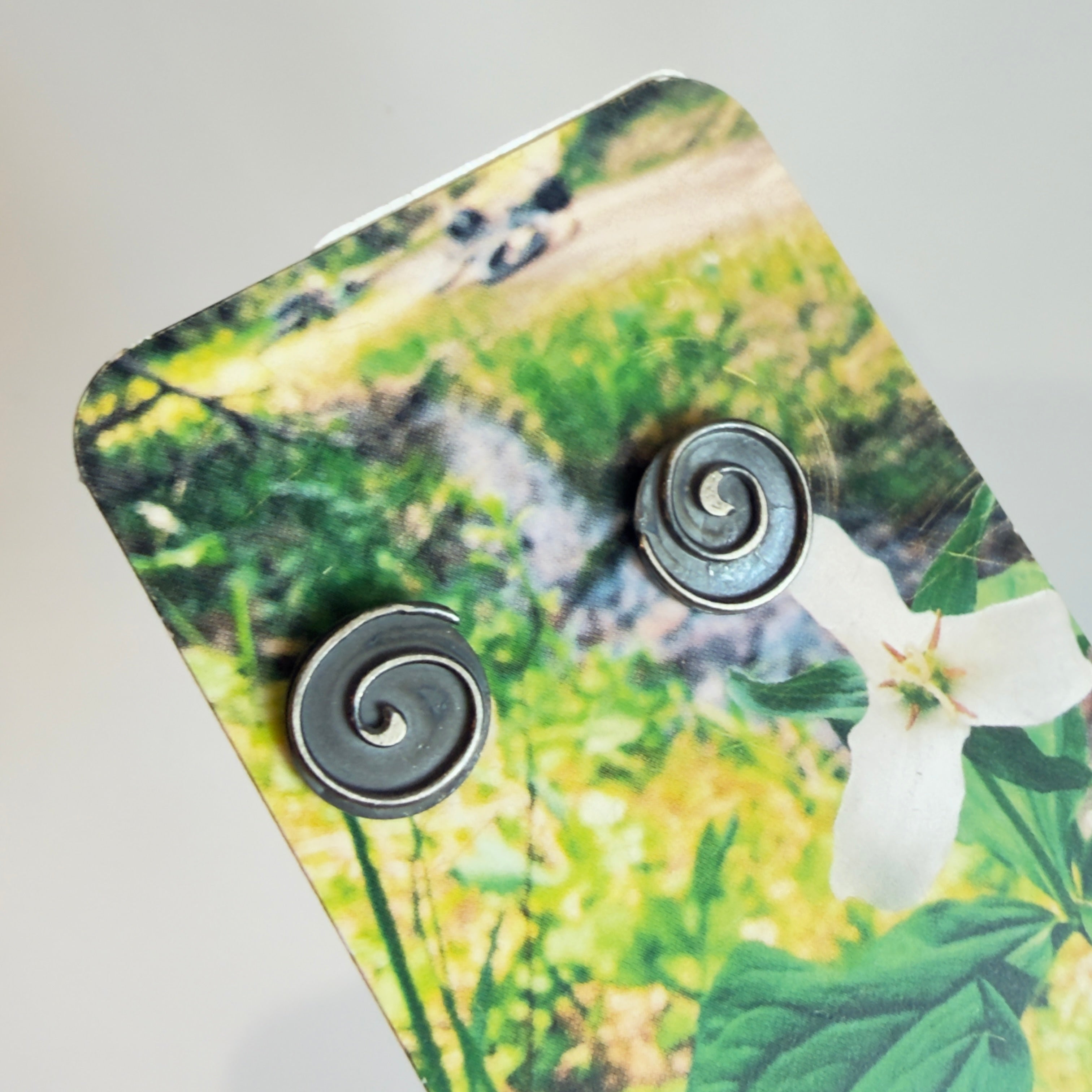 Spiral - Jewelry Earrings