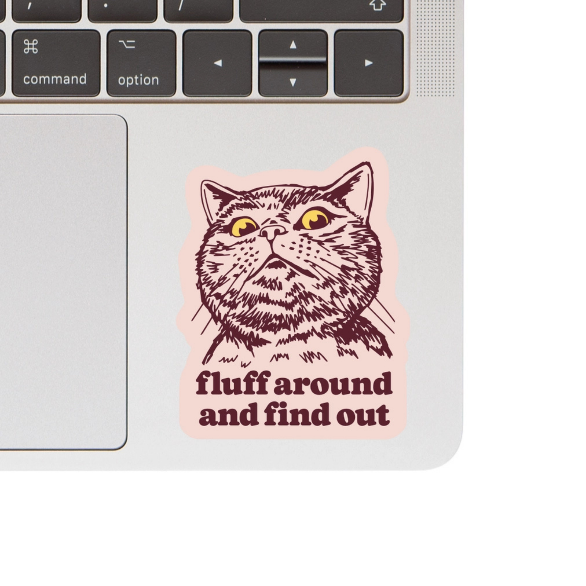 Fluff around and Find Out - Funny Vinyl Cat Sticker