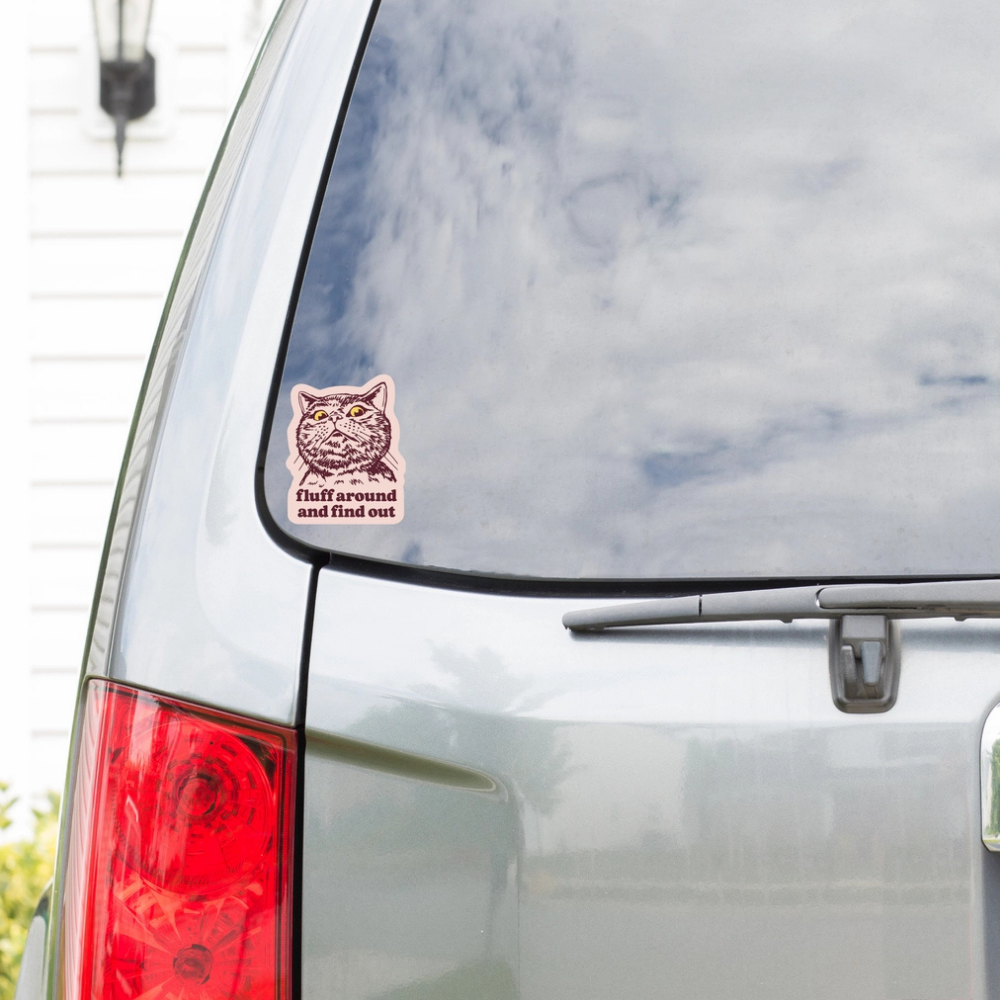 Fluff around and Find Out - Funny Vinyl Cat Sticker