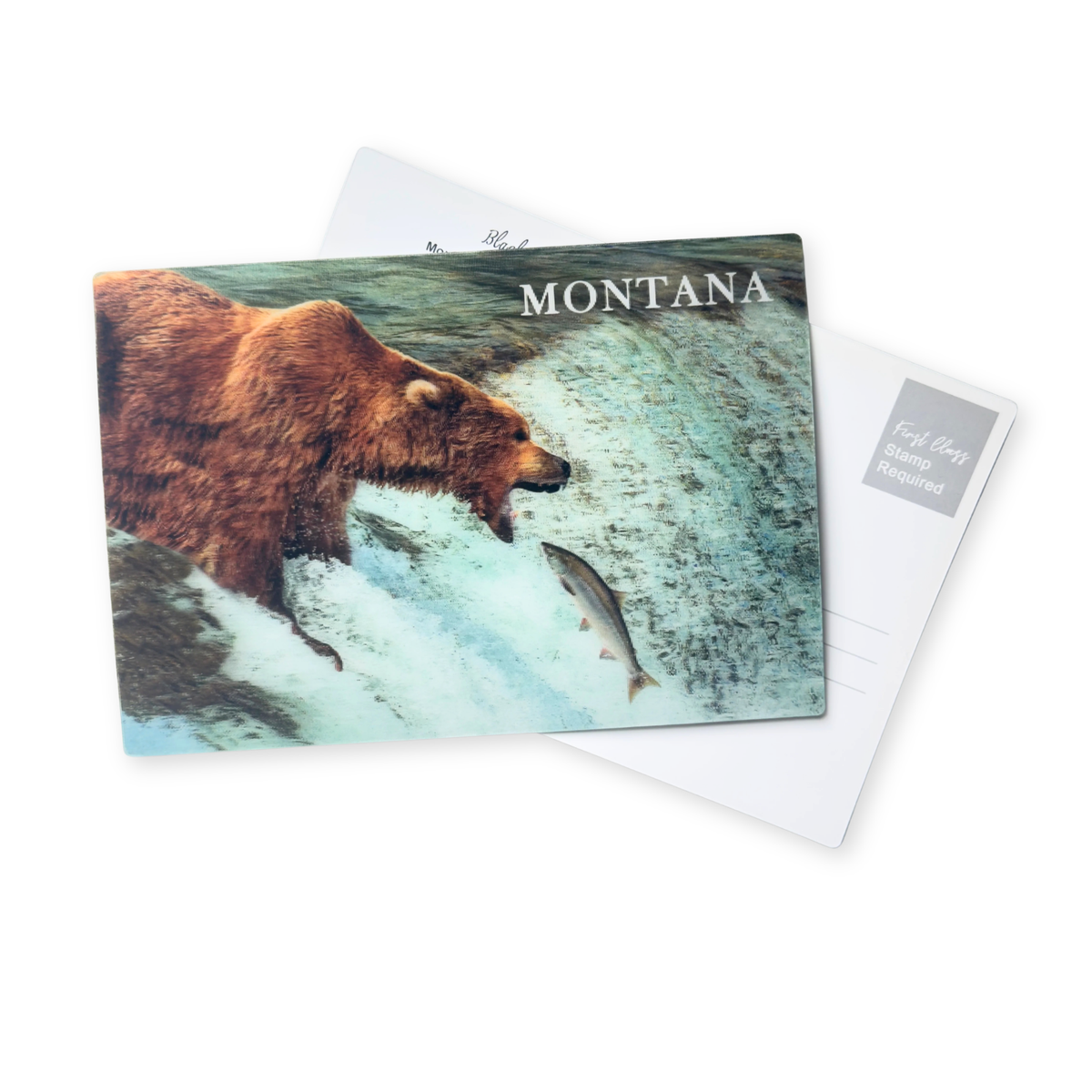 Grizzly Bear - 3D Montana Postcard
