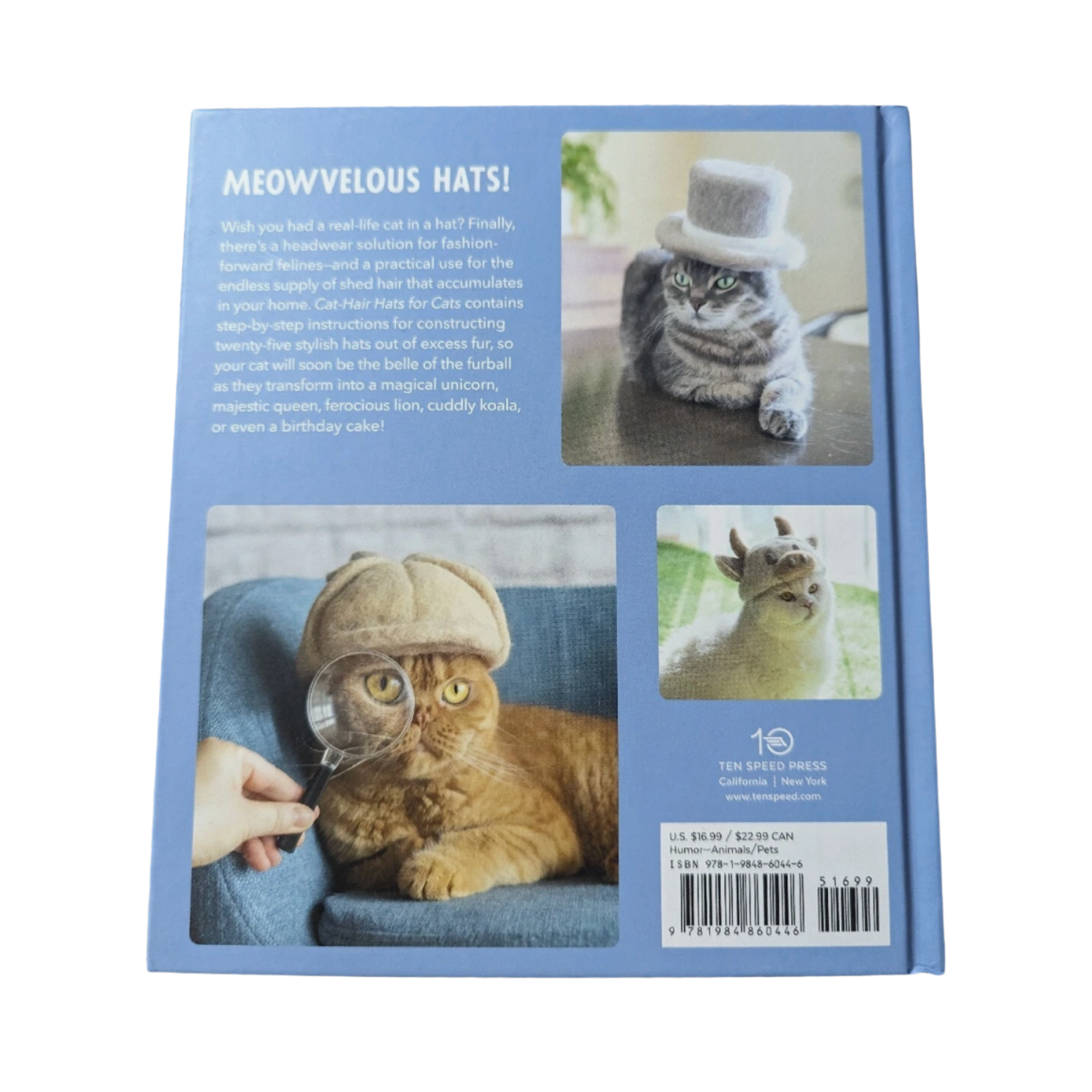 Hats For Cats - DIY Craft Book