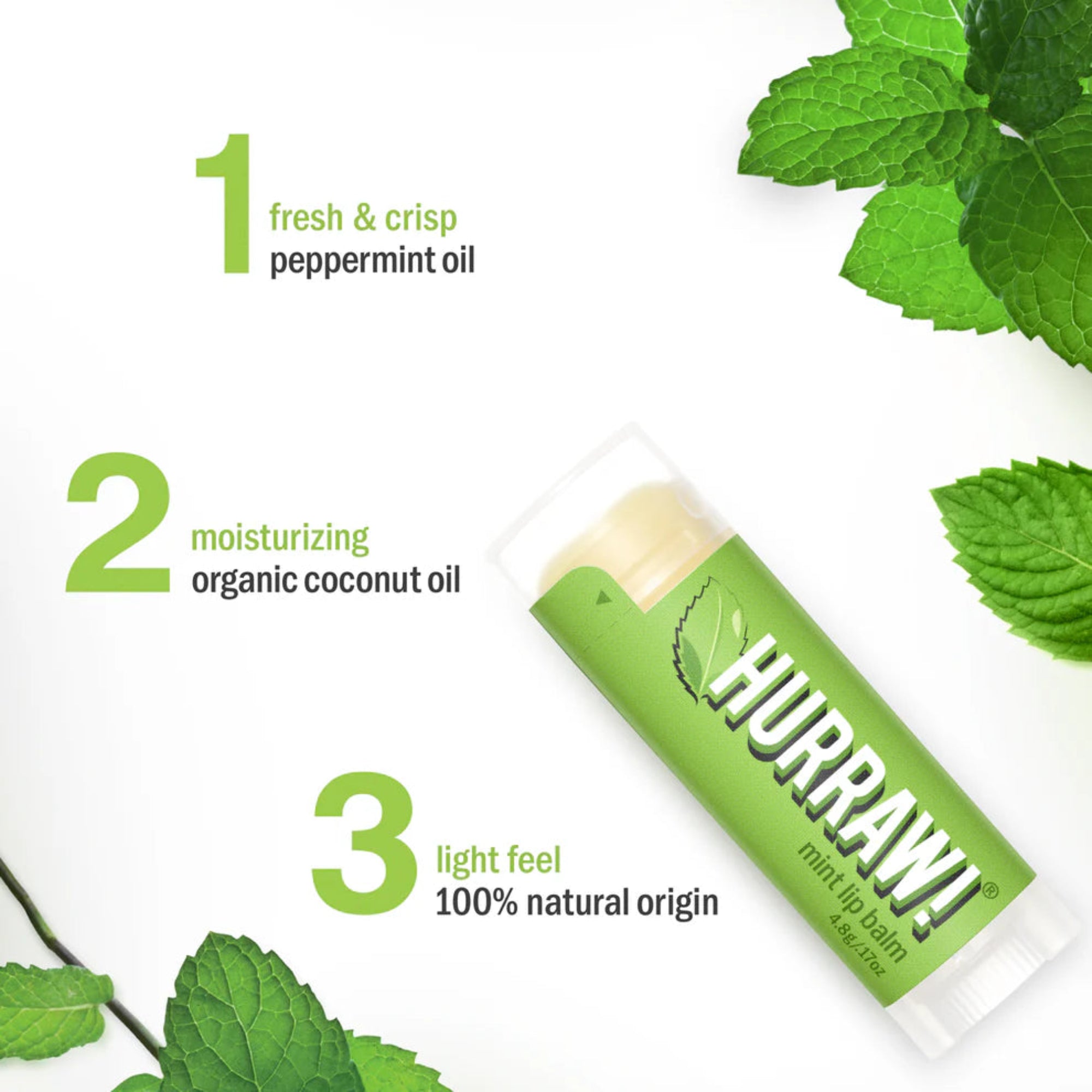 Green Hurraw! lip balm with mint leaves on a white background
