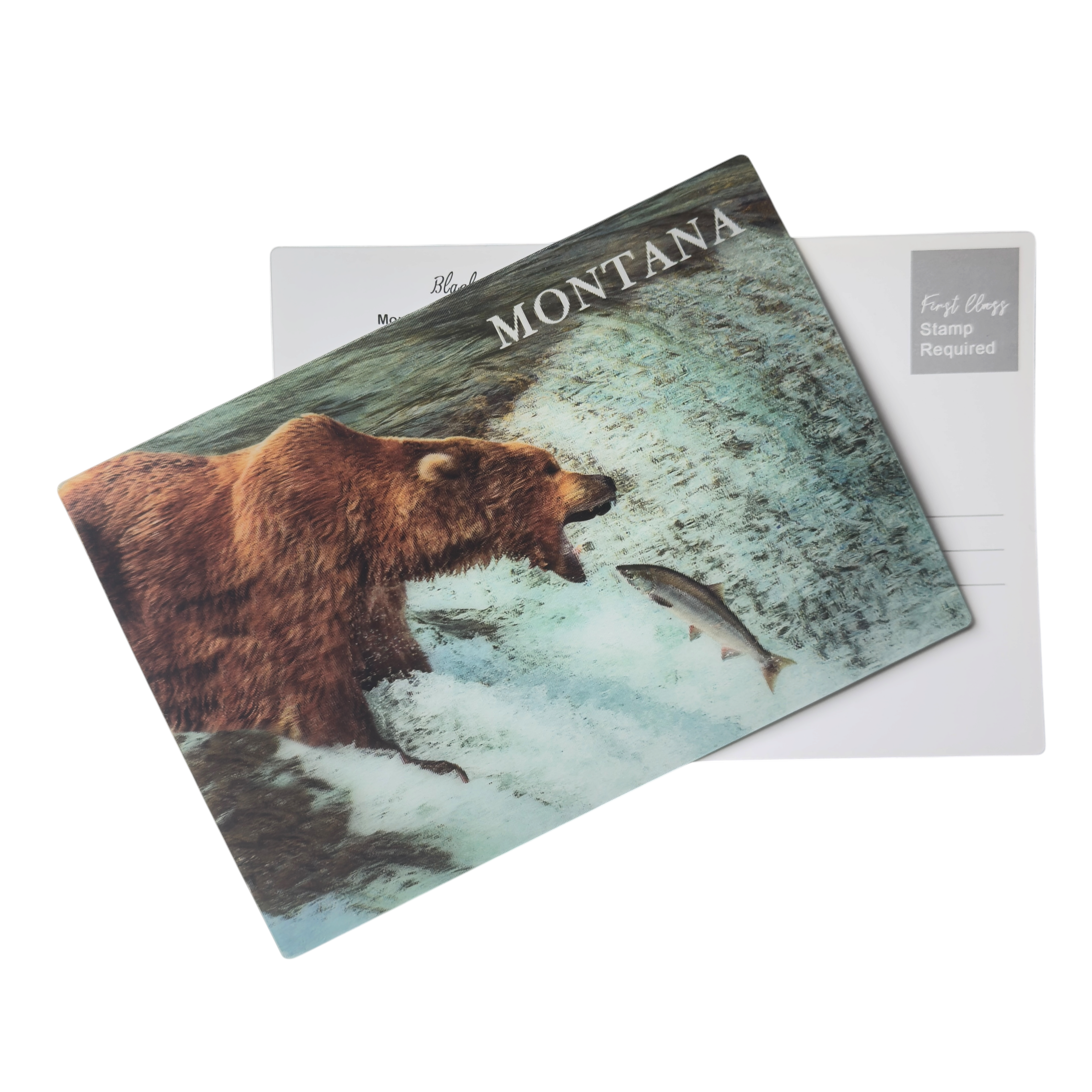 Grizzly Bear - 3D Montana Postcard