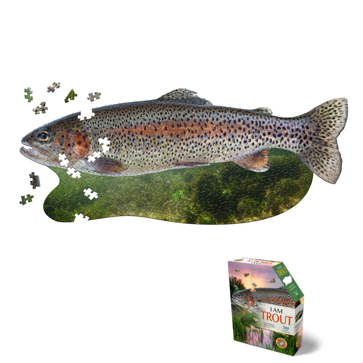 Trout-shaped puzzle with missing pieces and packaging on a white background