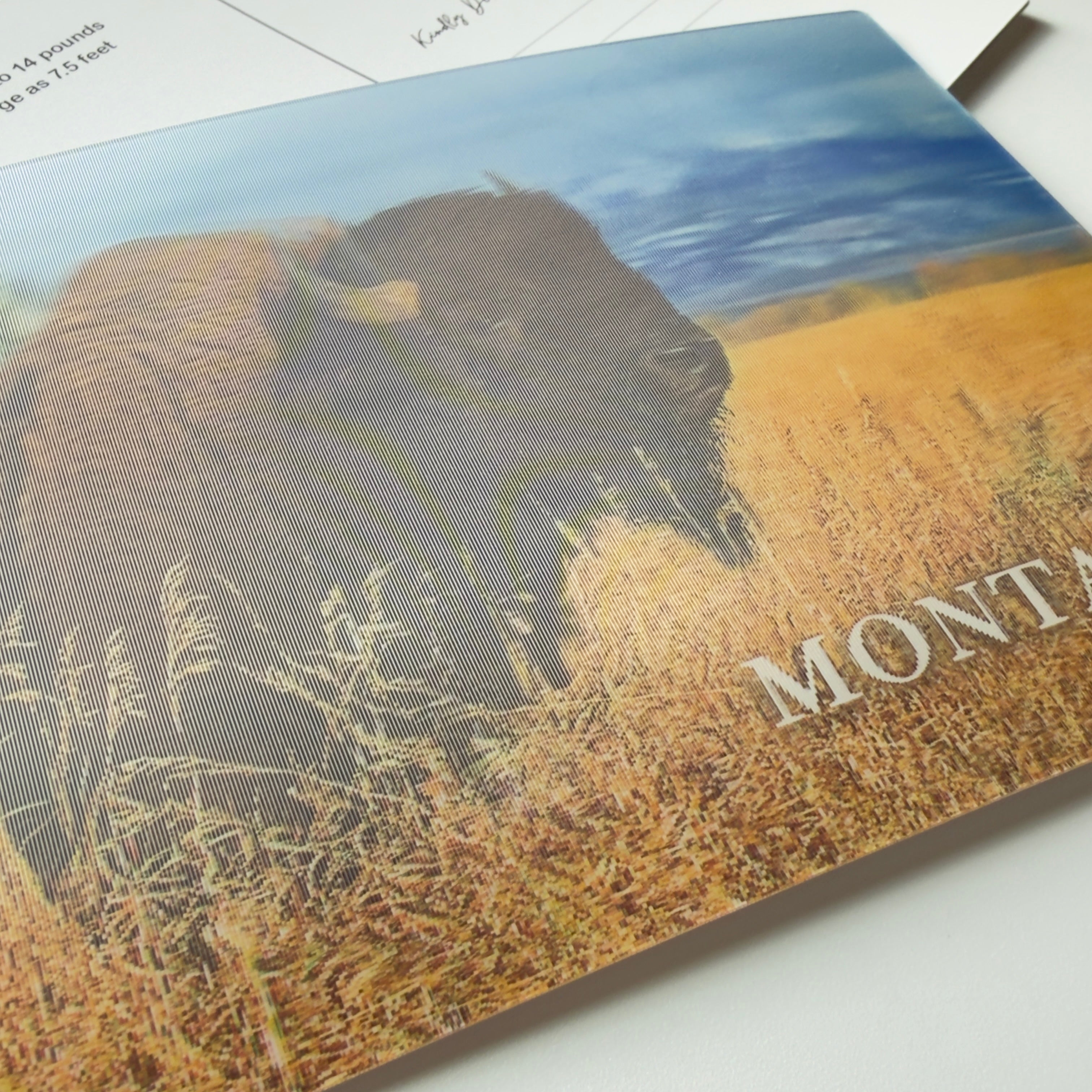 Montana Buffalo Bison - 3D Postcard