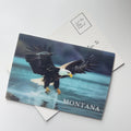 Bald Eagle - 3D Montana Postcard