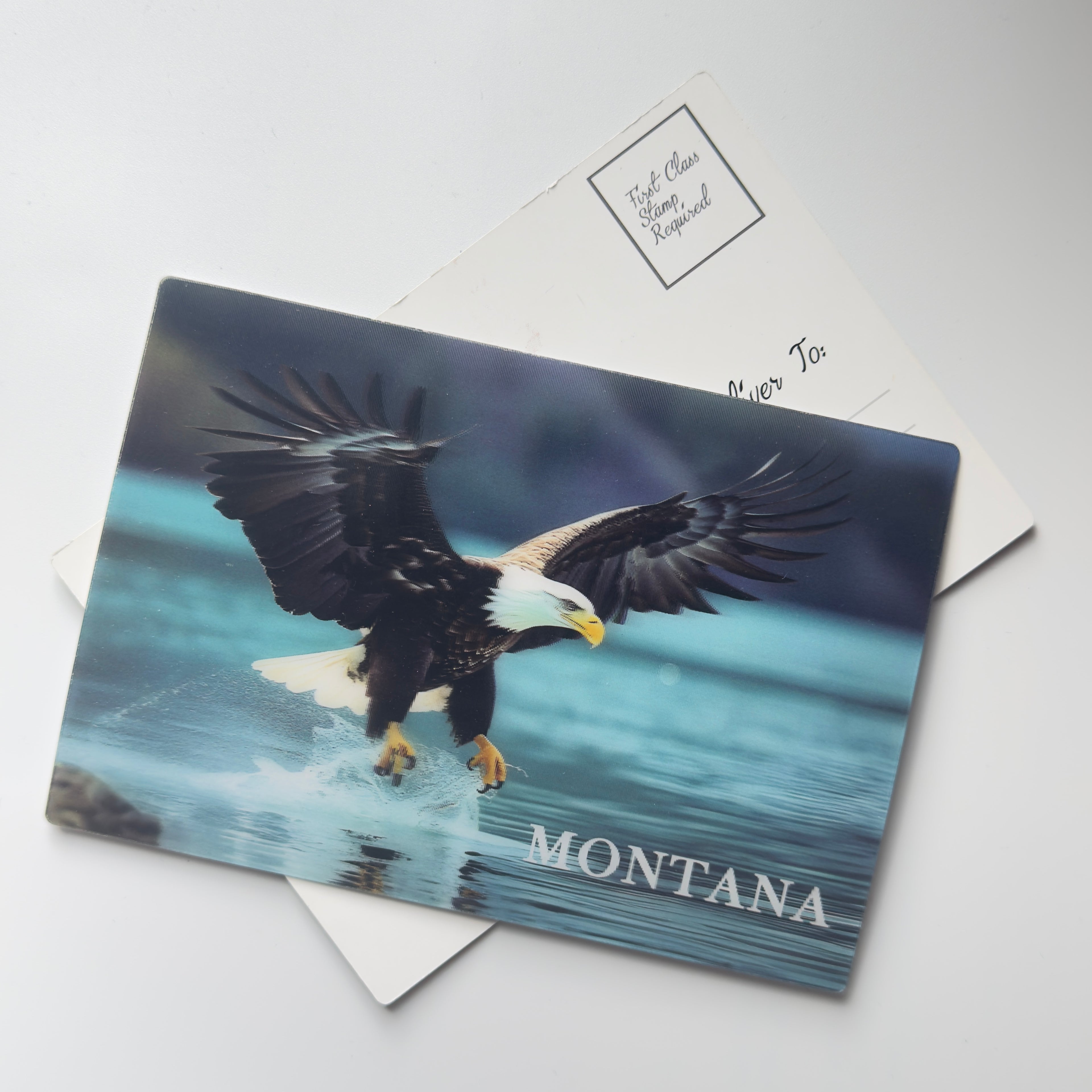 Bald Eagle - 3D Montana Postcard