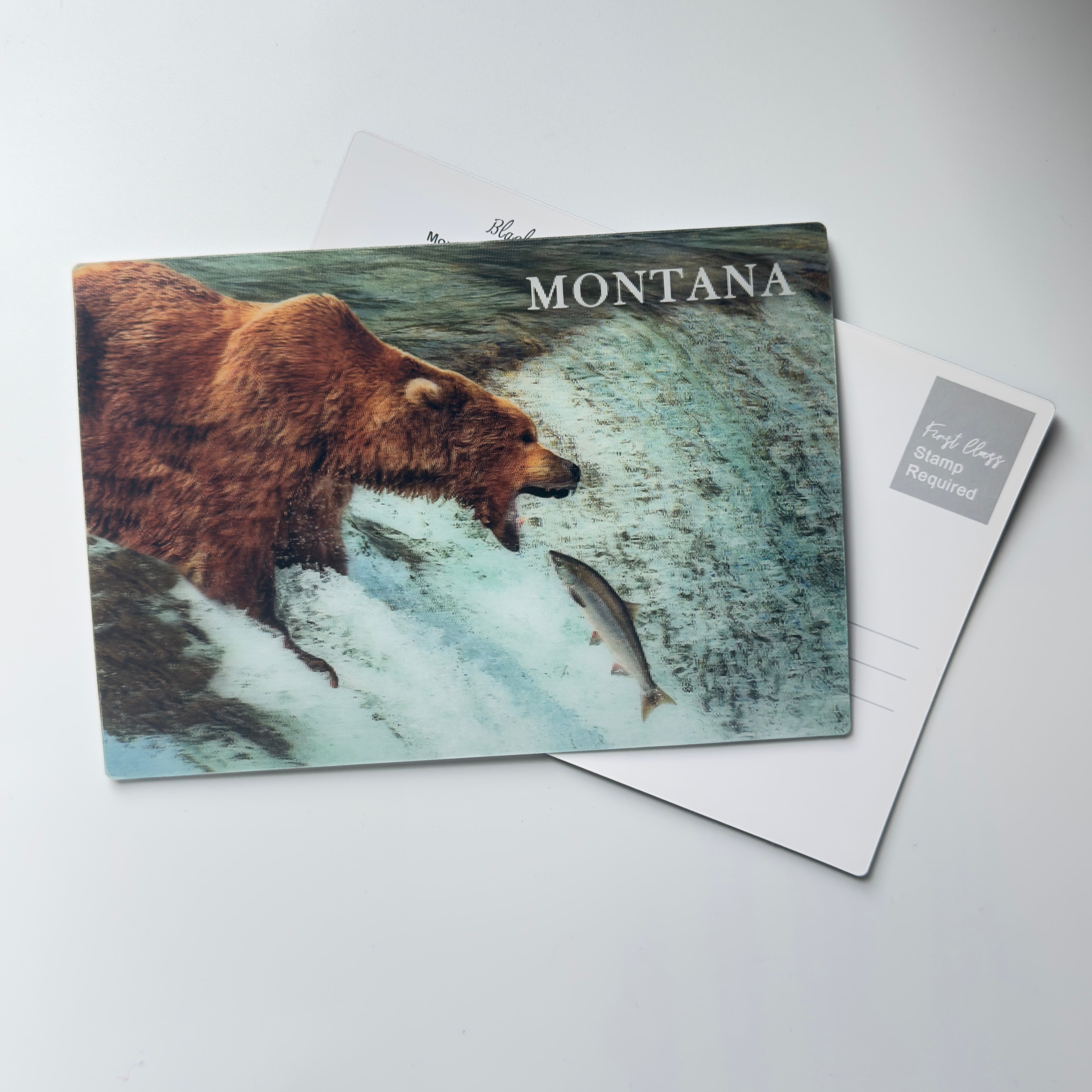 Grizzly Bear - 3D Montana Postcard