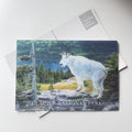 Mountain Goat - Glacier National Park Postcard