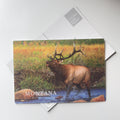 Montana Elk - 3D Postcard
