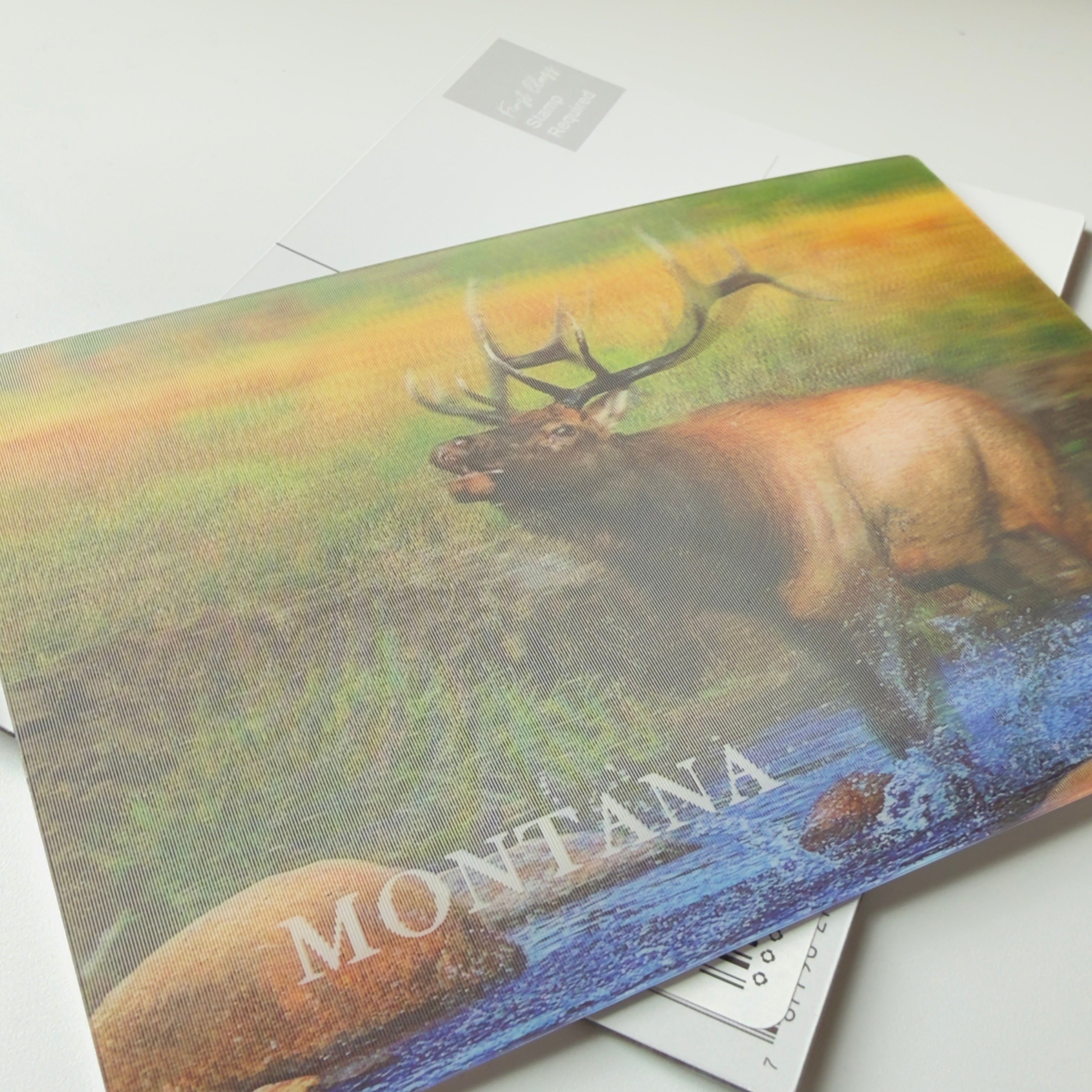 Montana Elk - 3D Postcard