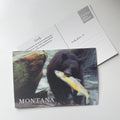 Montana Black Bear - 3D Postcard
