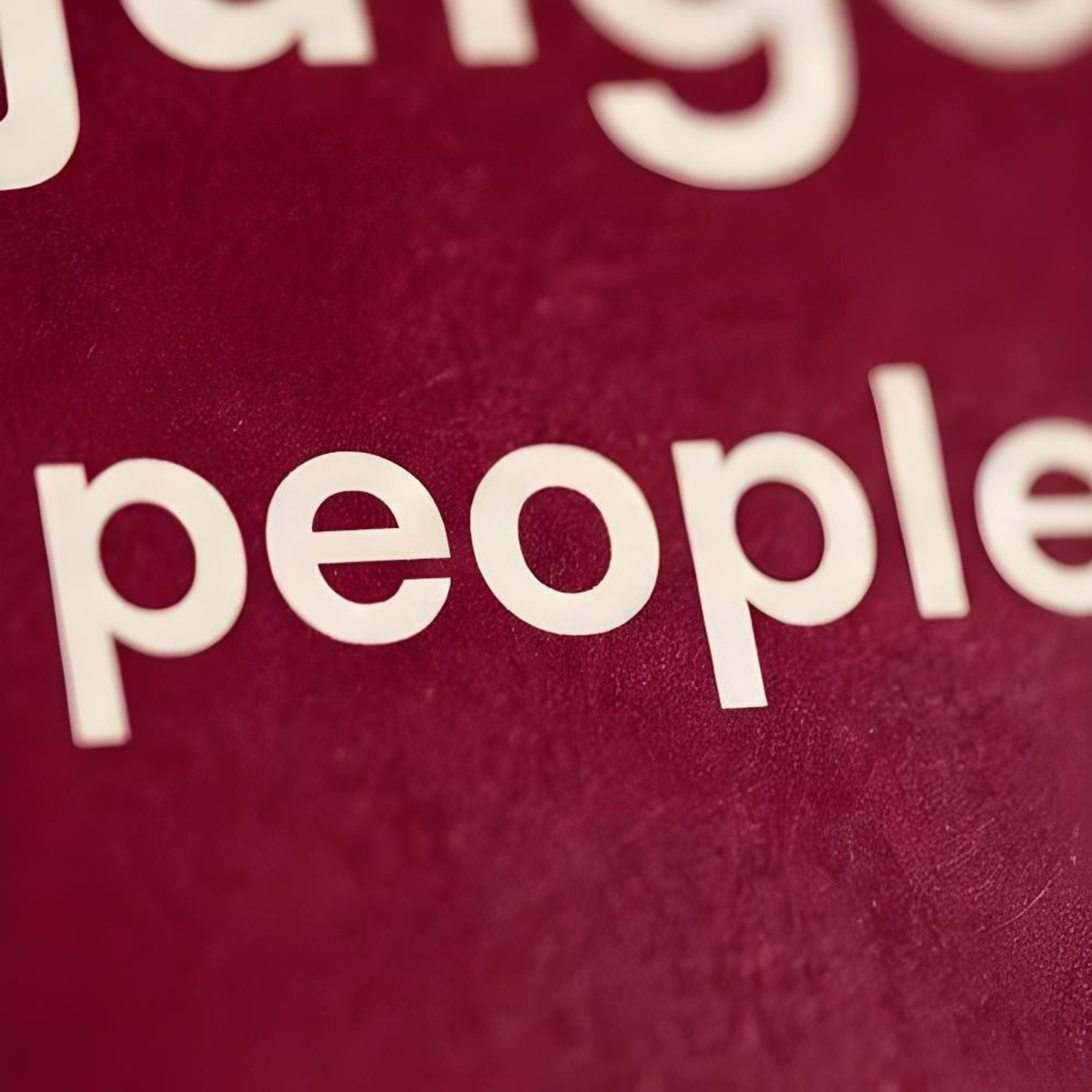 Wine Gift Bag that says Let's Drink Wine and Judge People