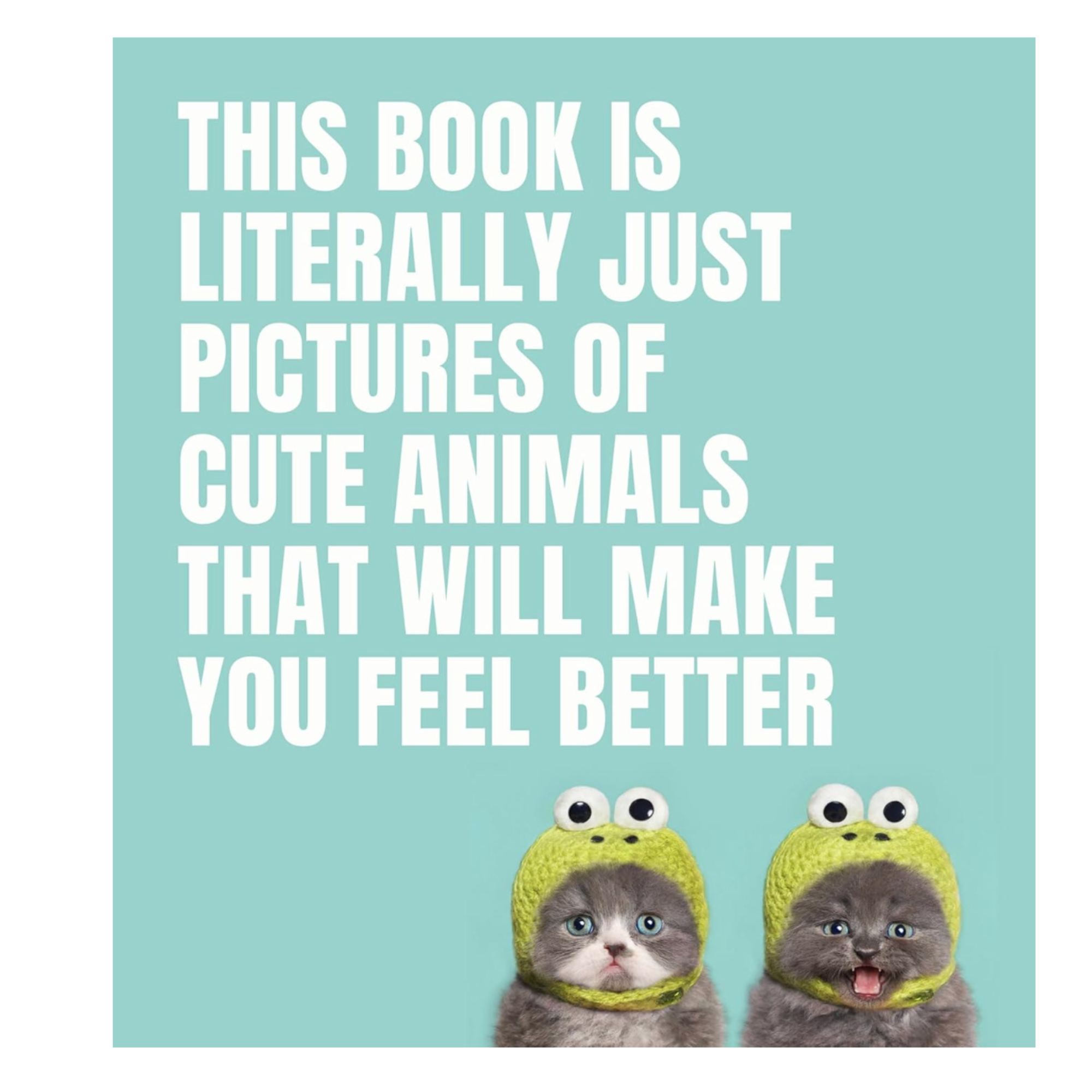 Literally Just Animals - Cute Photo Book