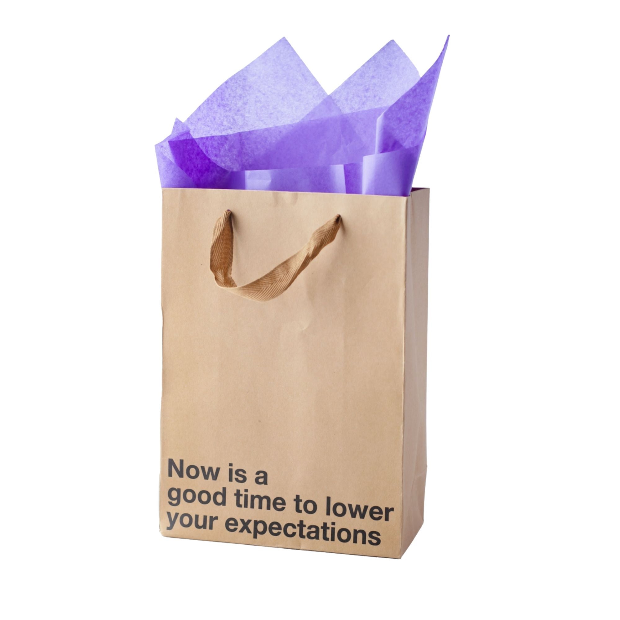 Lower Expectations - Medium Size Gift Bag