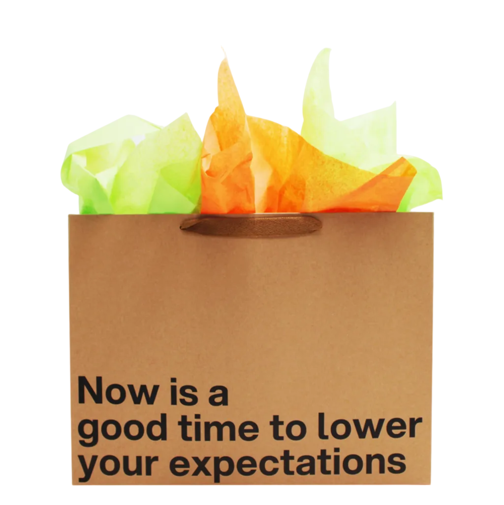 Brown paper bag with colorful tissue paper and text 'Now is a good time to lower your expectations' on a white background