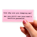 Your Mom's Netflix Password - Sticker product photo