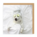 Pampered Pooch - Greeting Card
