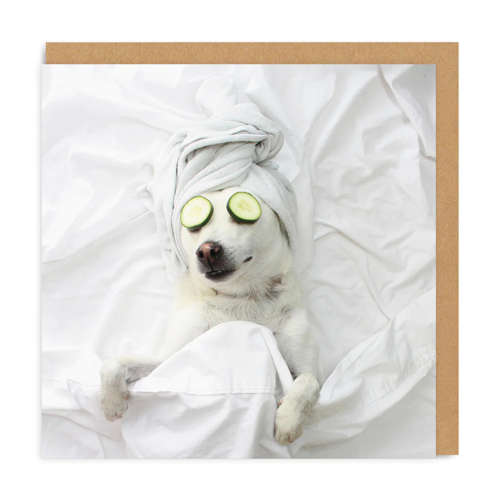 Pampered Pooch - Greeting Card