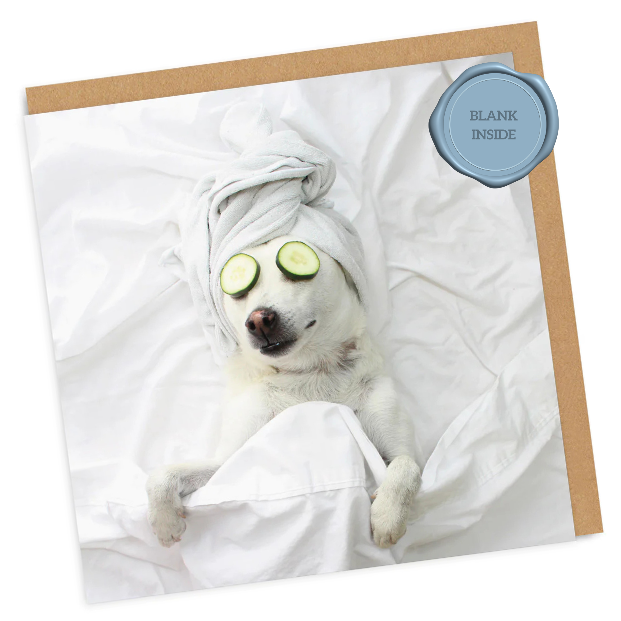 Pampered Pooch - Greeting Card