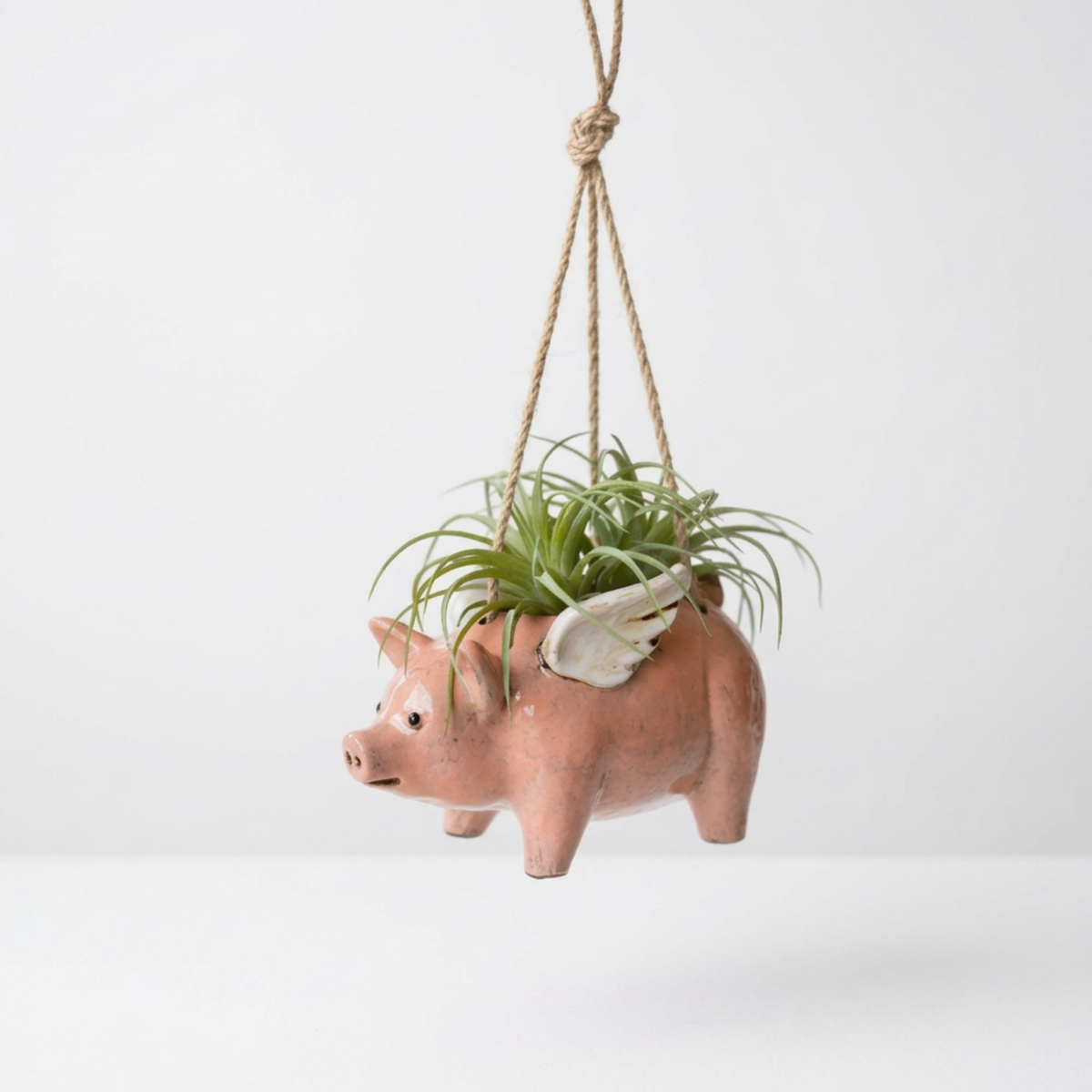 Flying Pig - Ceramic Hanging Planter