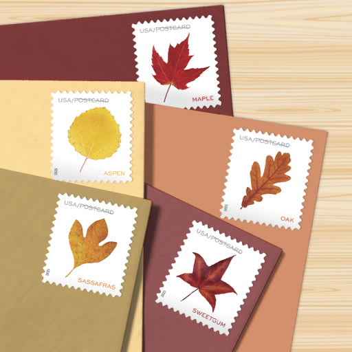 Postcard Stamp for Domestic USPS Mail