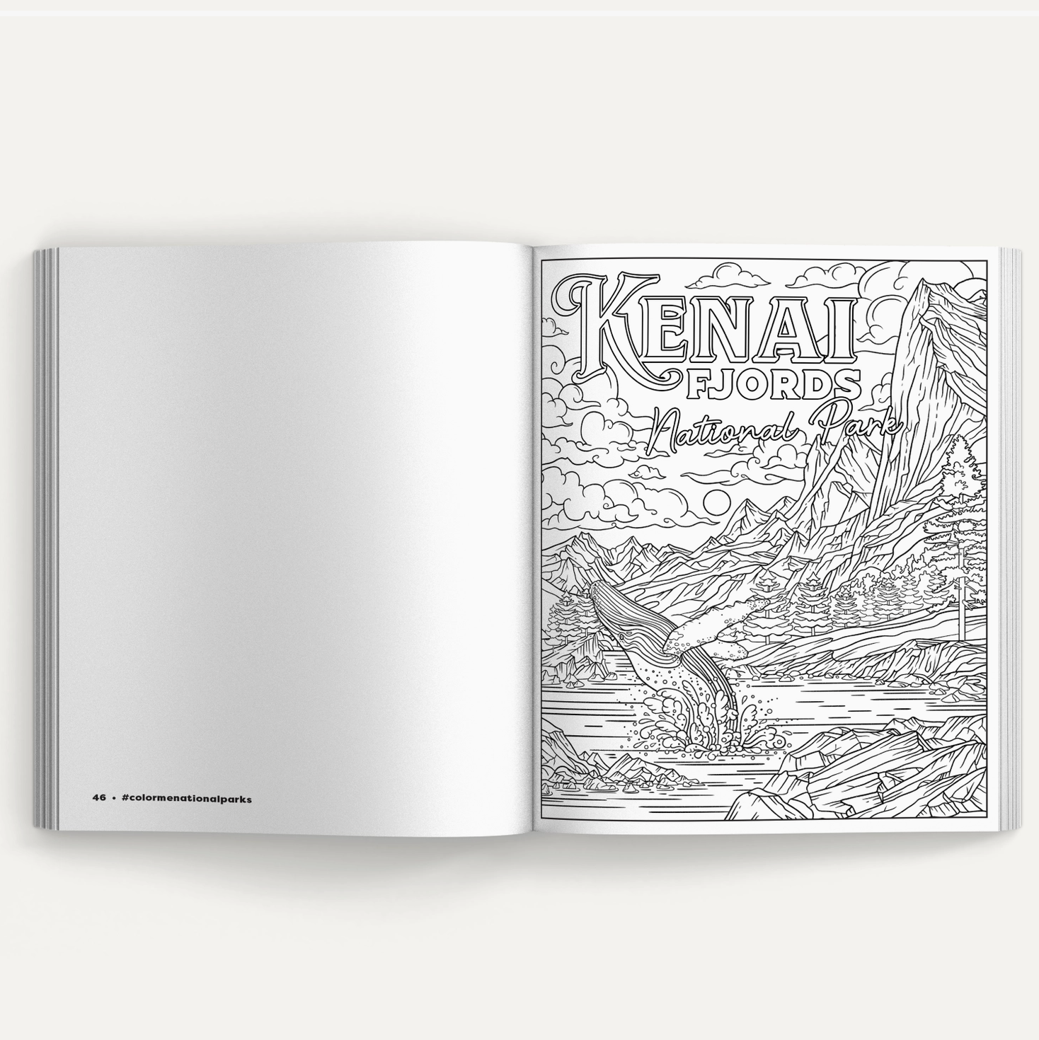 Color Me National Parks - Coloring Book