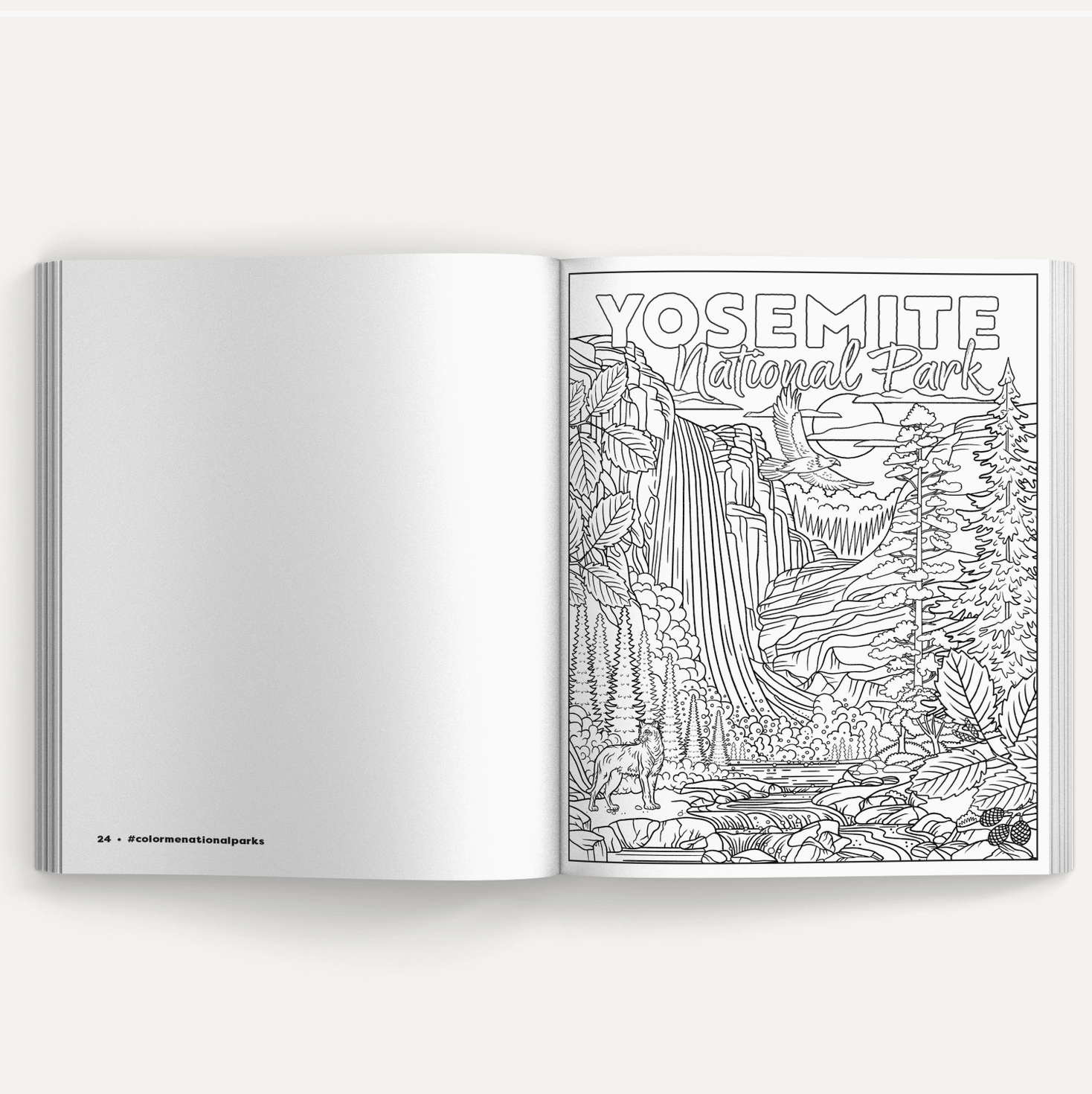 Color Me National Parks - Coloring Book