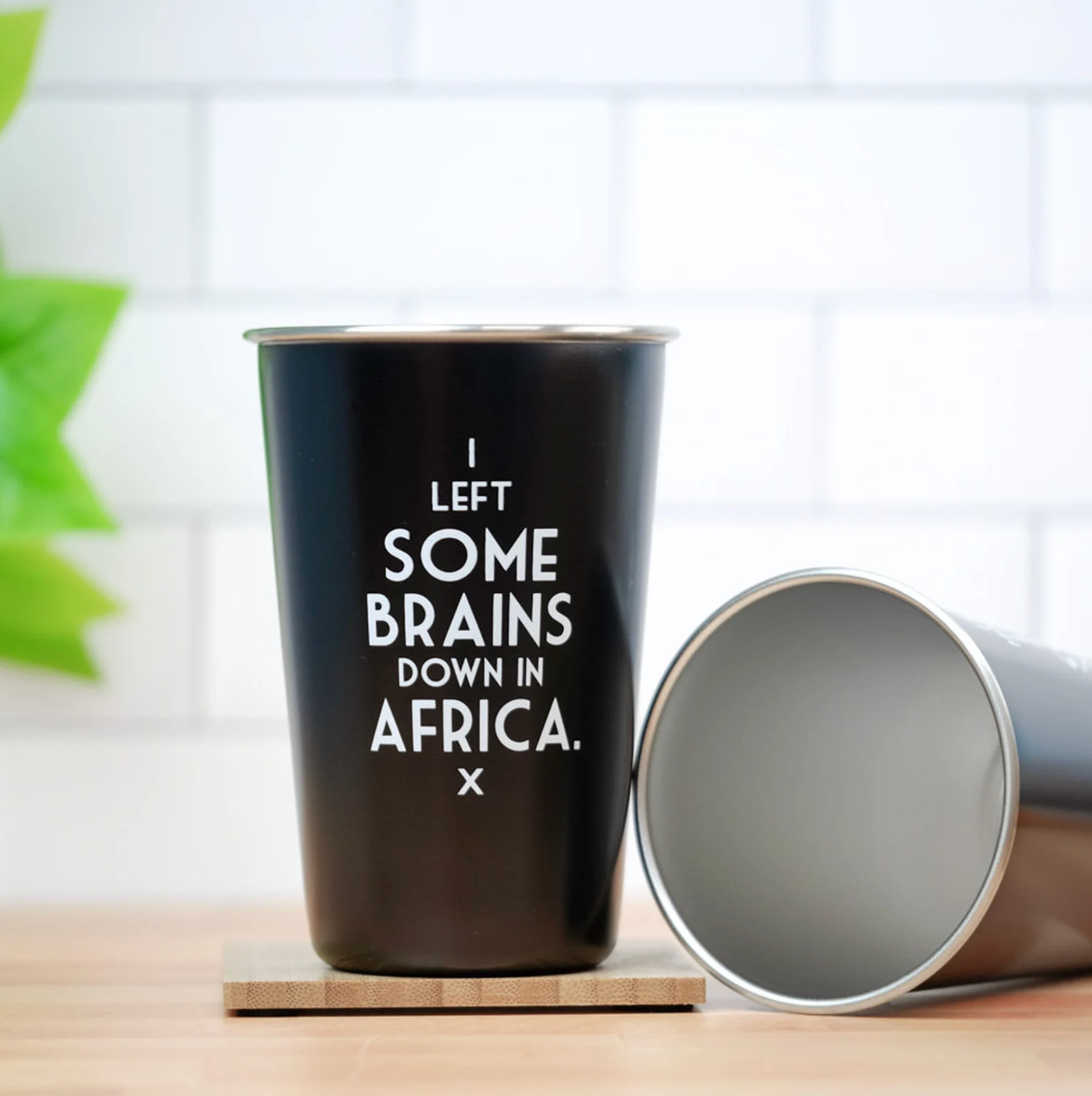 Brains In Africa - Toto, Mistaken Lyric Pint Glass