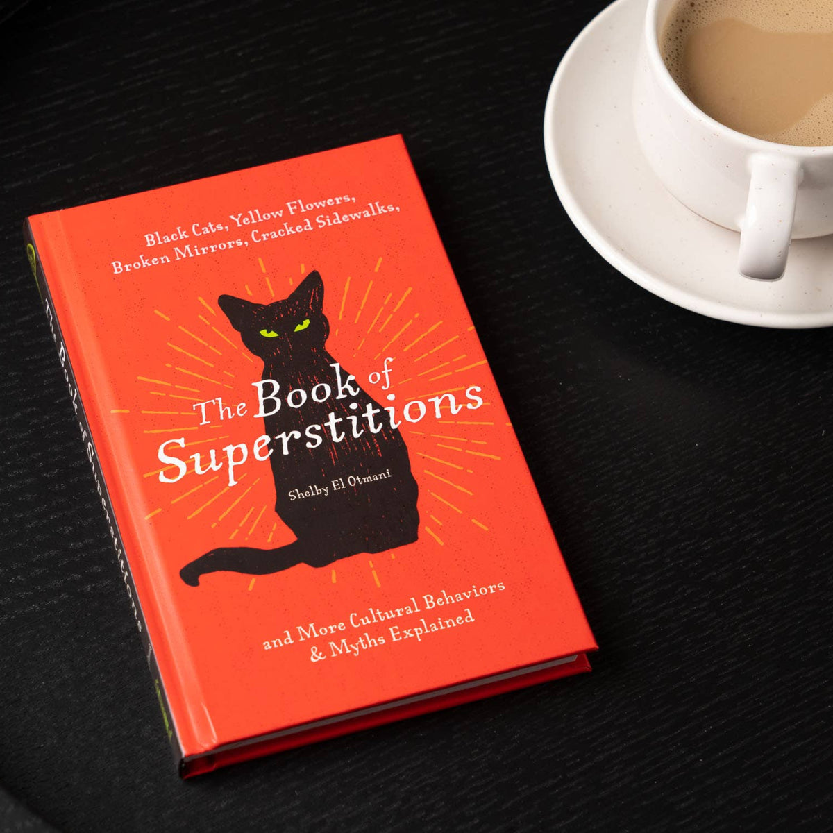 The Book of Superstitions illustrated book from The Ruddy Duck in Whitefish, Montana, alternate view
