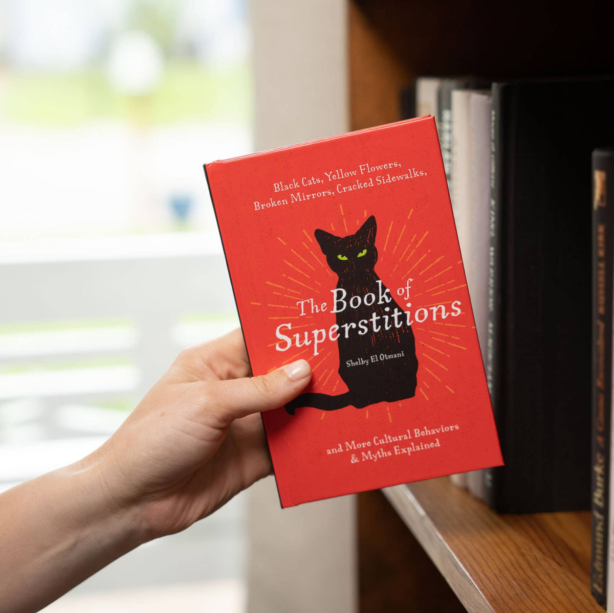 The Book of Superstitions illustrated book from The Ruddy Duck in Whitefish, Montana, alternate view