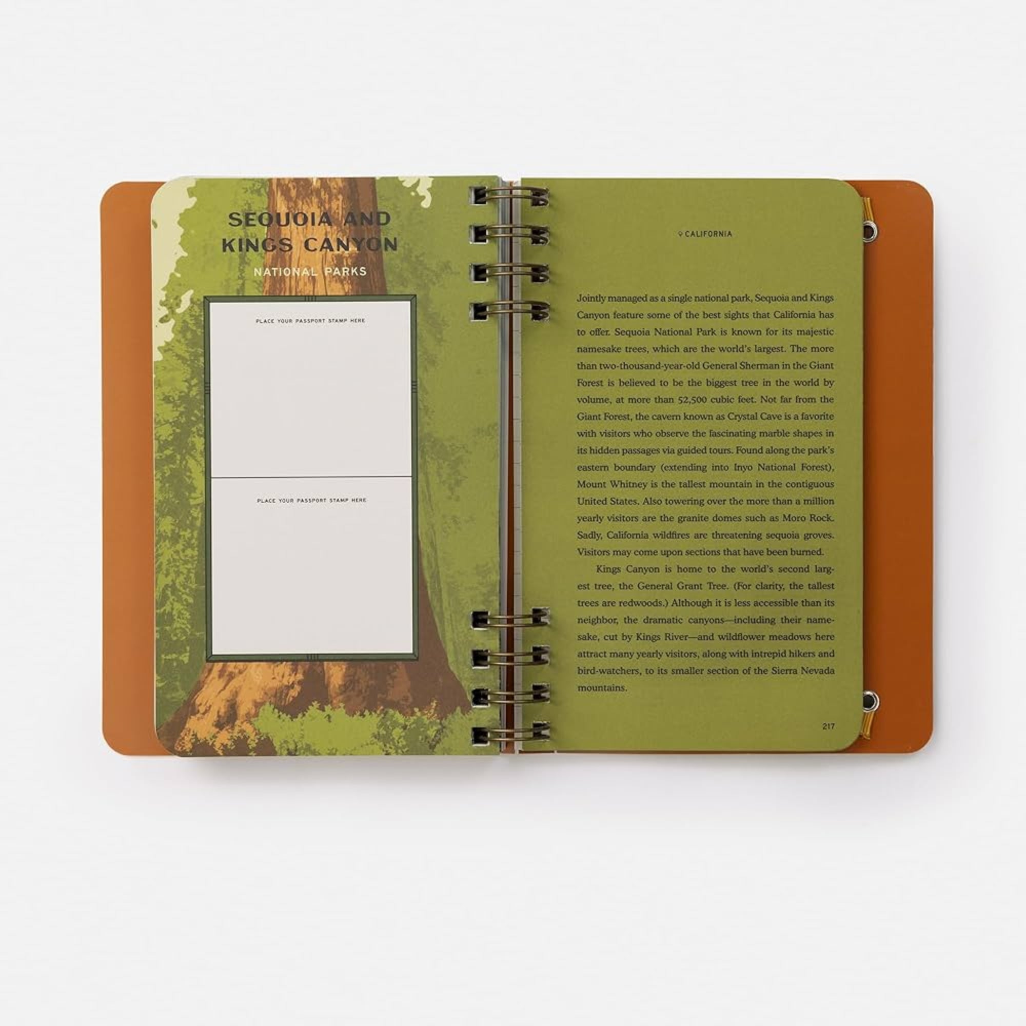 Open notebook with green interior pages and brown cover on a white background