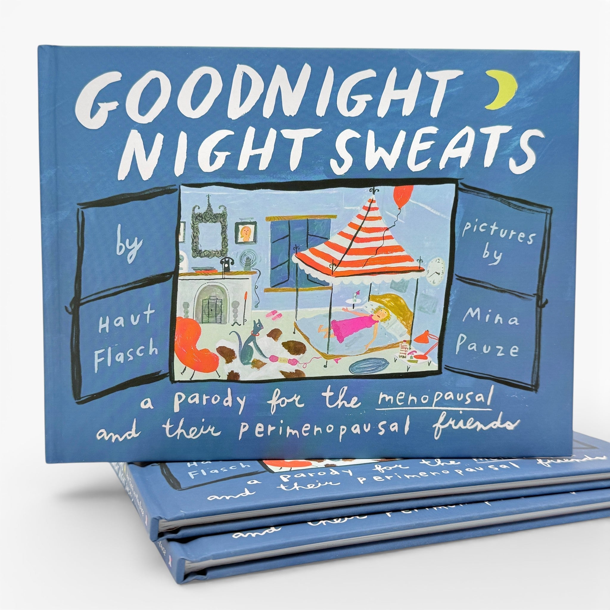 Goodnight Night Sweats - Sarcastic Parody Book