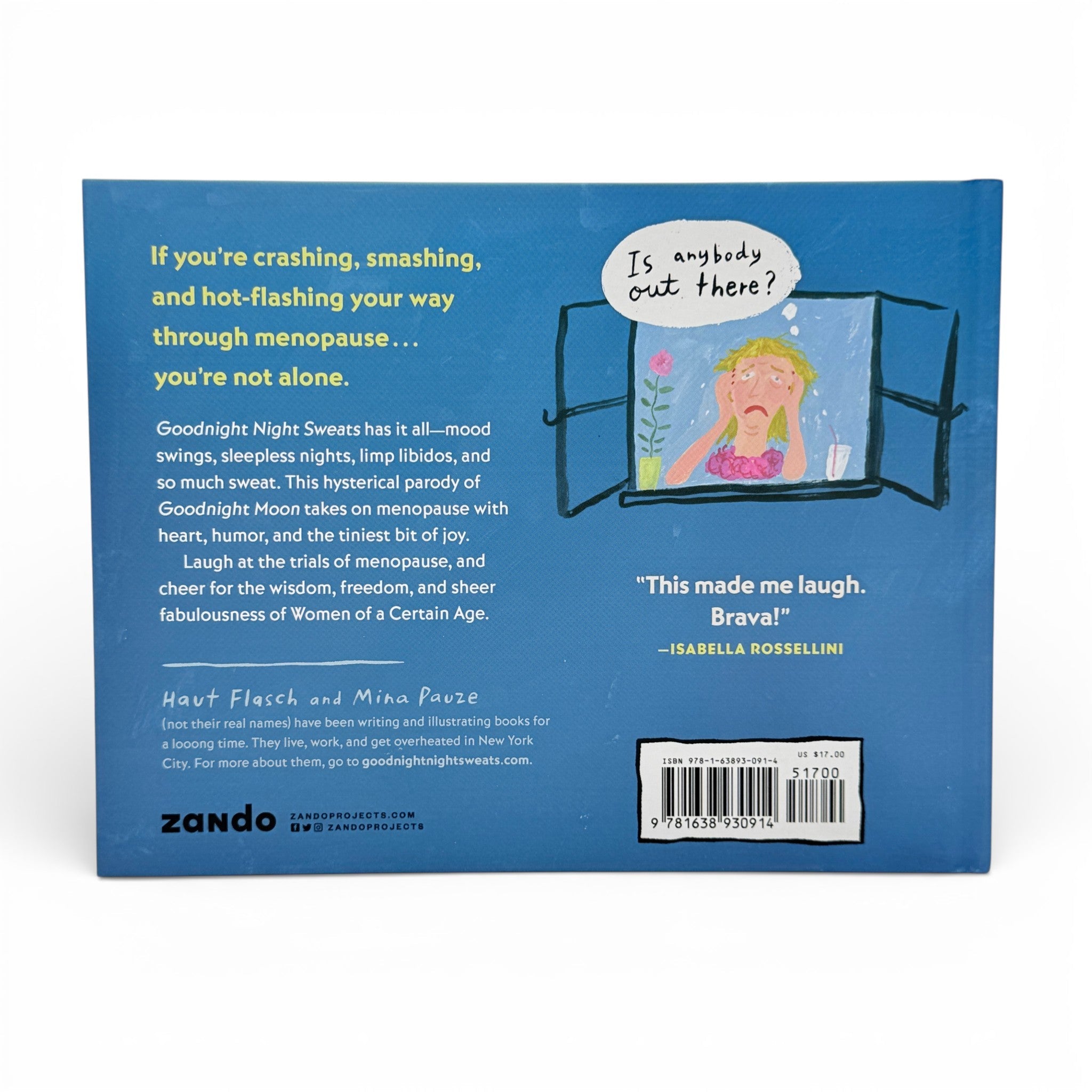 Goodnight Night Sweats - Sarcastic Parody Book