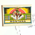 Rodeo Cowboy - Montana Fridge Magnet