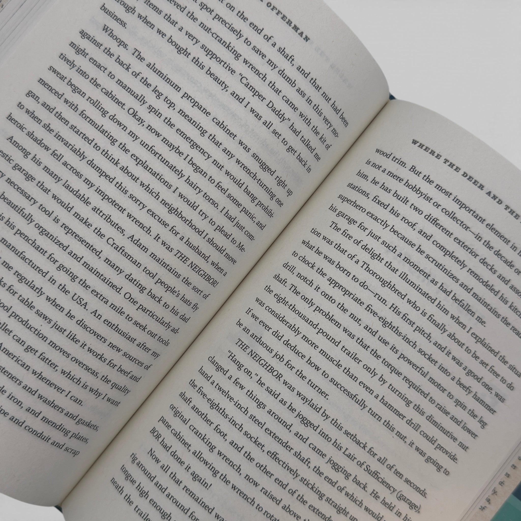 Grizzly Confidential - Book